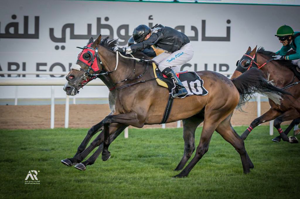 🇮🇪Irish jockeys on fire at Abu Dhabi 🔥 @OsheaTadhg | @BenCoen2 | @AndrewSlattery7 🥇 📸@aladiyatuae