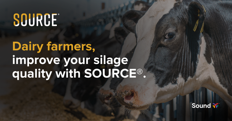 Dairy farmers use SOURCE® on their corn silage to optimize in-season nutrition and increase yield. It improves the nutrition profile of your crop: starch, TDN, and NEL. 

Ready to #SOURCEIt? Talk to your local Dealer or Sound rep today: sound.ag/how-to-buy

#AgTwitter