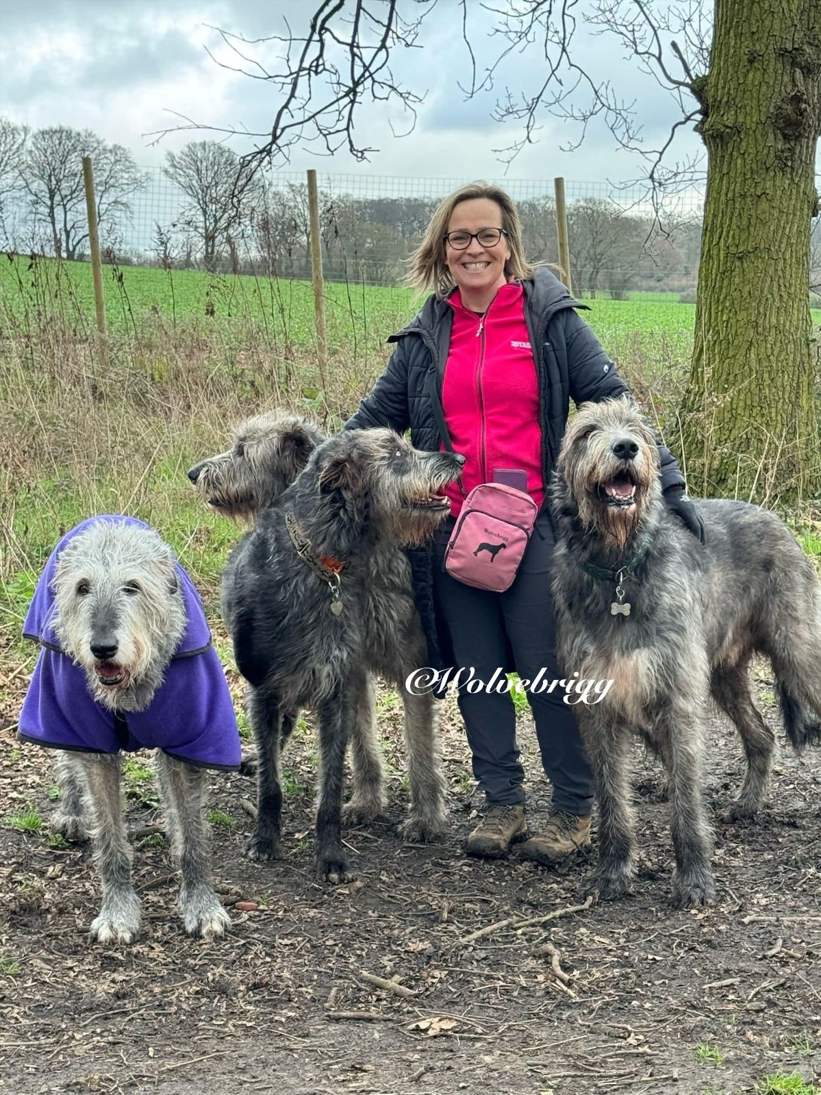 Family irish cheap wolfhound