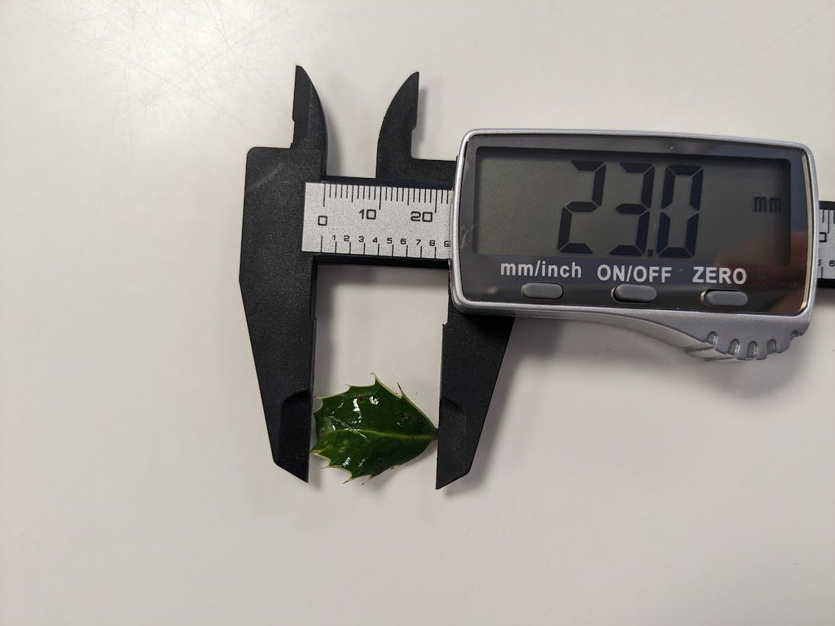 Jon Hale tweet media