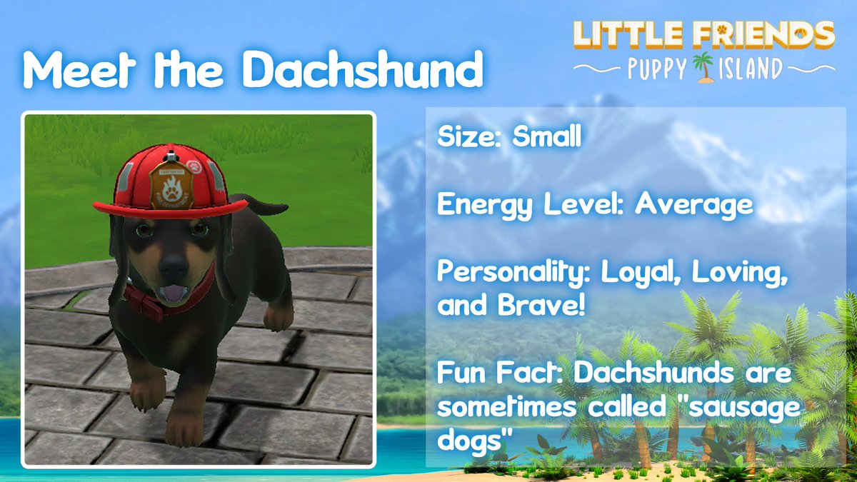 🦴 Meet the Breeds 🦴

Today, we're introducing you to the Corgi, Bulldog, Chihuahua, and Dachshund breeds in #LittleFriendsPuppyIsland!

Which is your favourite? 🐶