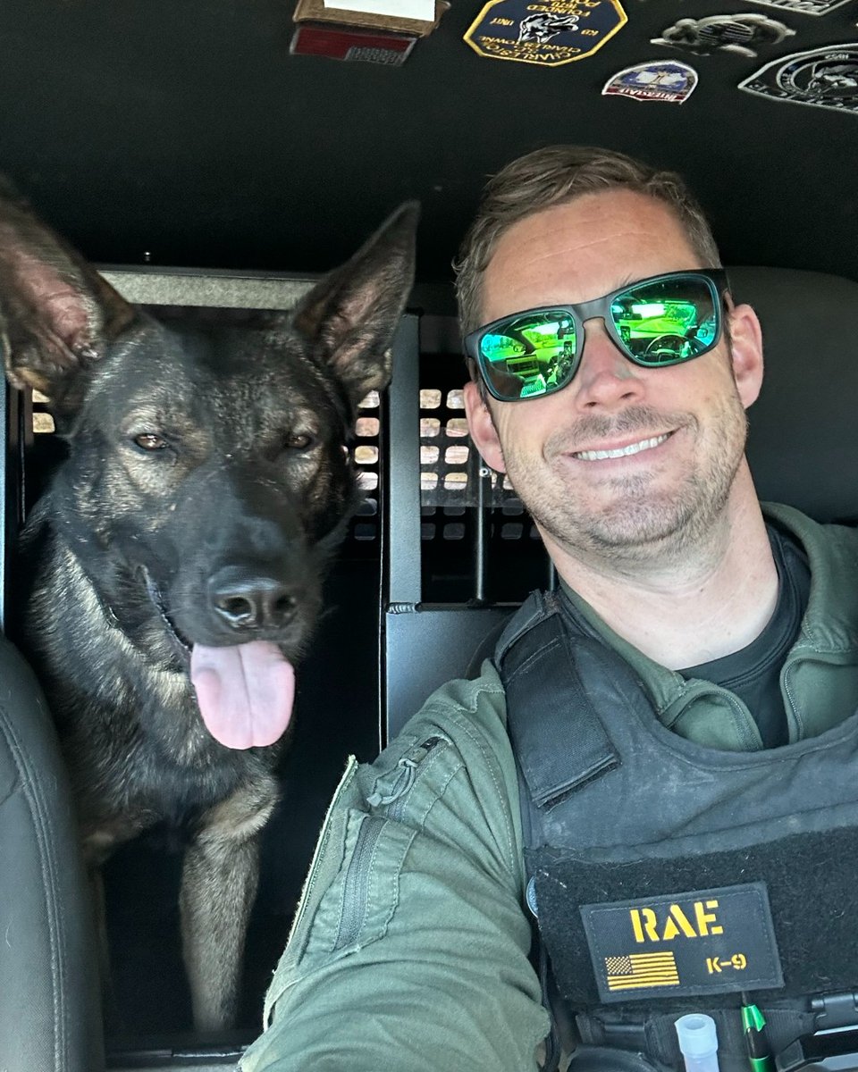 gofcsonc's tweet photo. Join us in wishing K9 Mickey a Happy 3rd Birthday! K9 Mickey is a German Shepherd/Malinois Mix who joined the FCSO Family in December 2022. He is certified in tracking and trailing, apprehension, article search, obedience, and narcotics detection.
#GoFCSONC https://t.co/fh68D6GgxW
