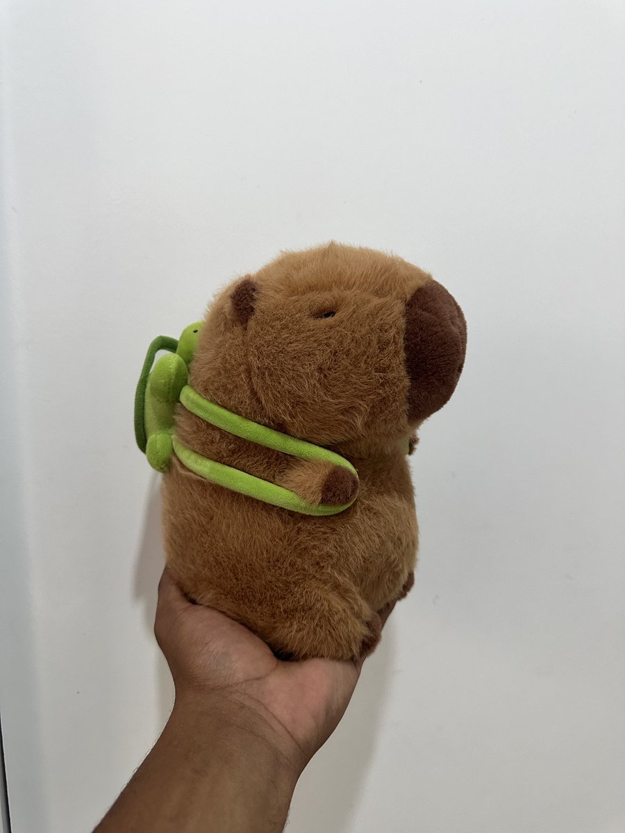 gente eu ganhei uma capivara de pelúcia com mochila de tartaruga vou morrer