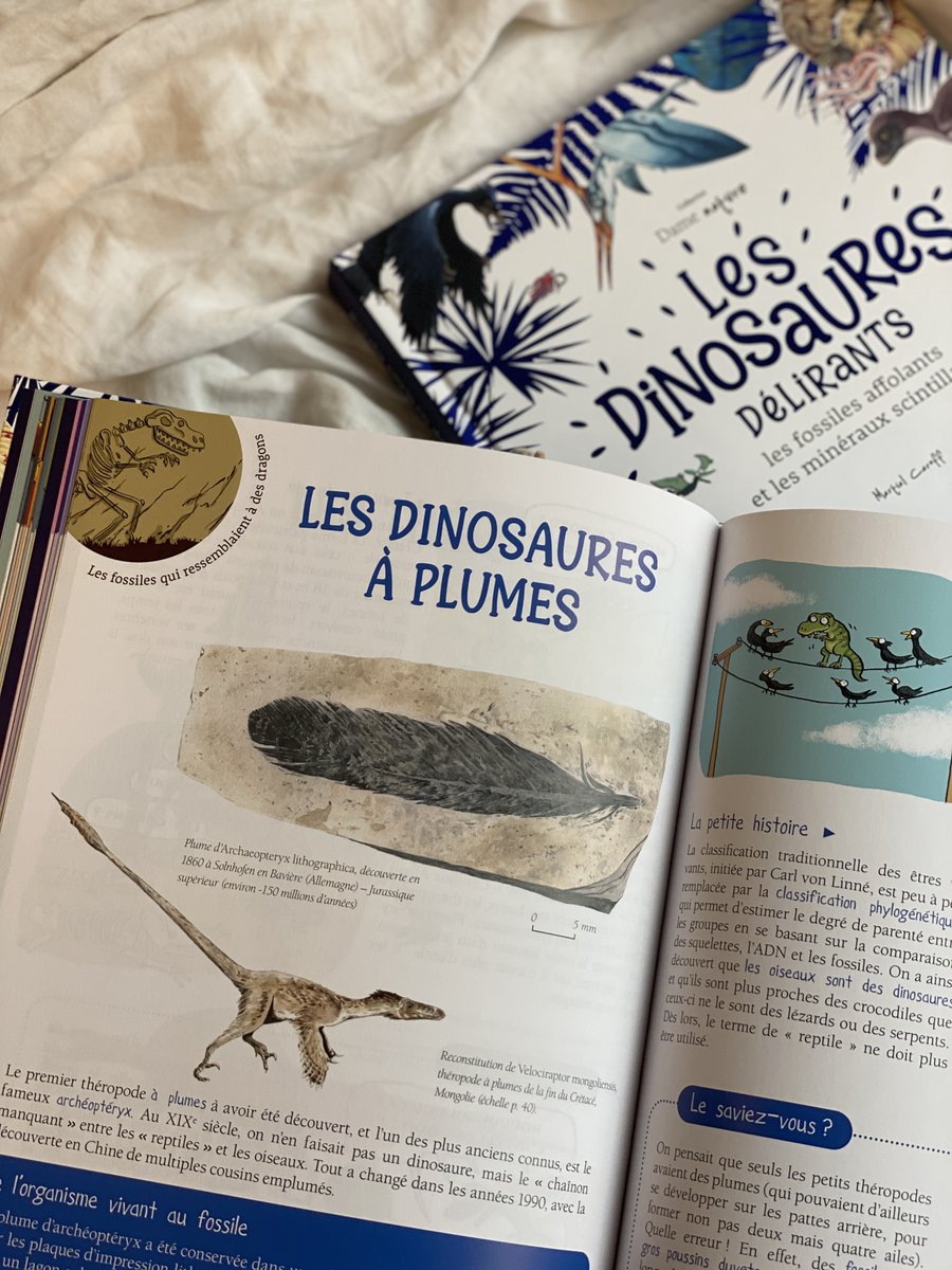 Gulf Stream Éditeur tweet media