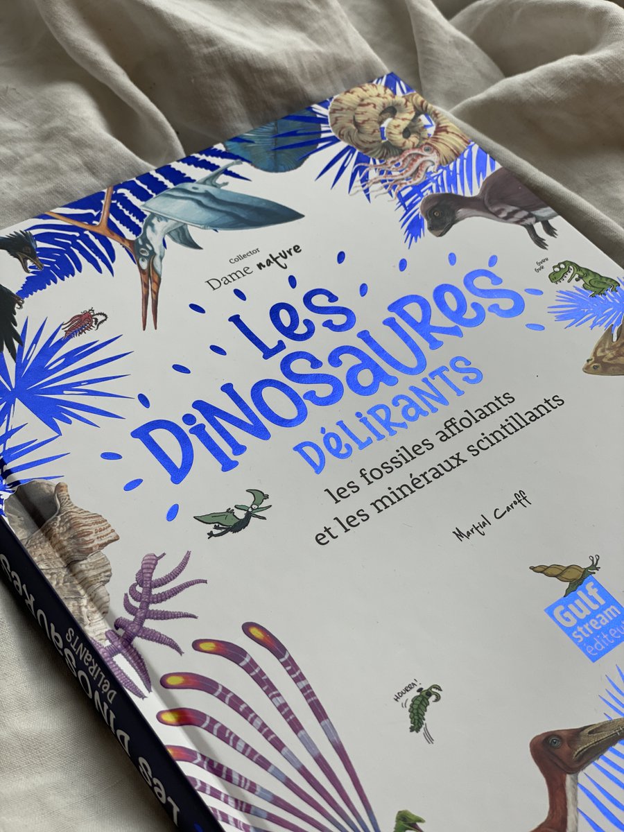 Parution du jour 🦕
Une nouvelle anthologie Dame Nature est là ! Ce documentaire illustré réunit nos 3 albums sur les dinosaures, les fossiles et les roches dans un format collector 
👉gulfstream.fr/produit/collec…