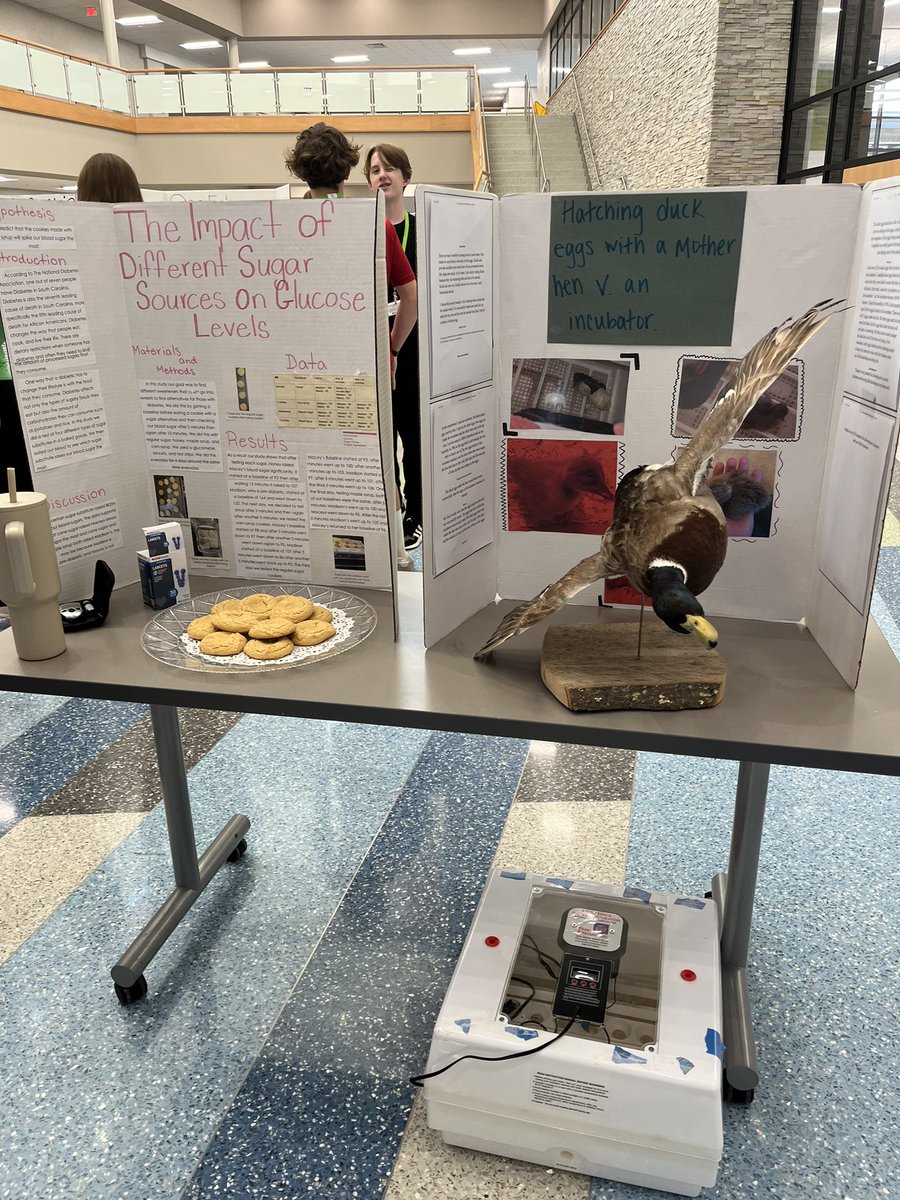 Alex Pinto tweet media