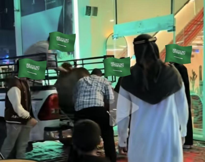 SaudiAnimals's tweet photo. #يوم_التأسيس نتمنى من ملاك المقاهي عدم استخدام الحيوانات كديكور ليوم التأسيس ومراعاة طبيعة الحيوان وحاجته لمكان مناسب وهادئ ونتمنى توضيح من @MEWA_KSA من ناحية هل يتوافق استخدامهم بهذا الشكل مع نظام الرفق بالحيوان واشتراطات توفير بيئة مناسبة للحيوان في الانشطة التجارية https://t.co/yC20uHzEkj