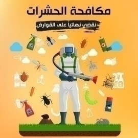 مكافحة الحشرات مع الضمان بتبوك 0553420732