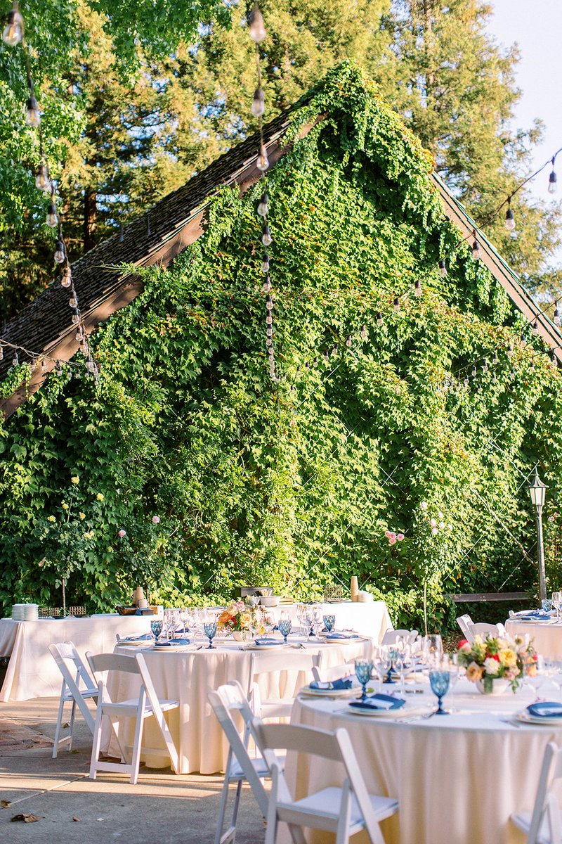 I can't wait for all these floofy greens to grow back! Venue walkthroughs are so different in all the different seasons! 

@harvest_inn
@maria.villano 
@laurel.and.vine 
@encoreeventsrentals 
@ybarra_events ⁠

#weddingvenues#climbingvines #californiaweddings #ybarraevents