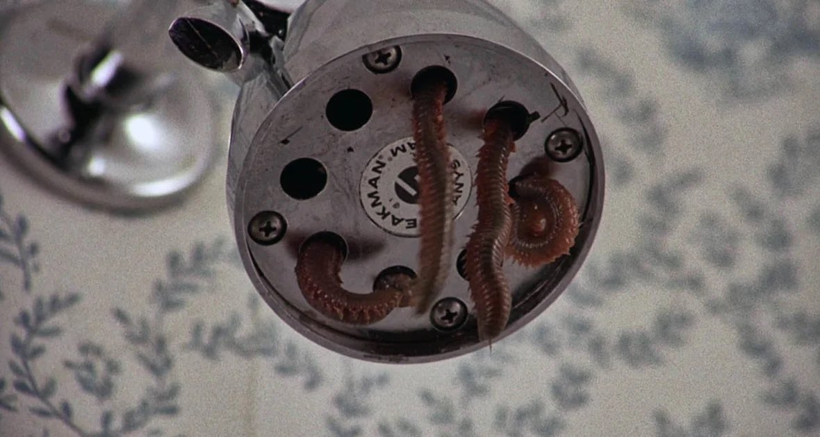blockbustervhs's tweet photo. 🪱SURPRISE🪱 myself and my co-programmer Scary Claire are putting on a LATE NIGHT WORM DOUBLE BILL @riocinema 🎟️ MARCH 1st 23:30-2:30am! Beginning with LAIR OF THE WHITE WORM 🐛 🐍and concluding with SQUIRM 🥚🎟️ link for tix below 🩸

https://t.co/H33asb1zEv https://t.co/JJVtgulyTw