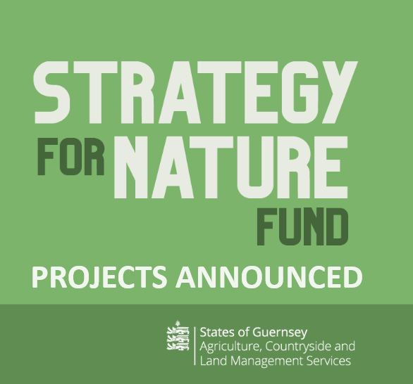 11 environmental projects &amp; 2 student research projects have been awarded funding from the Strategy for Nature Fund.
Just under £40,000 has been awarded, covering a range of projects including the creation of a pond, bat surveying equipment &amp; growing native Guernsey plants.