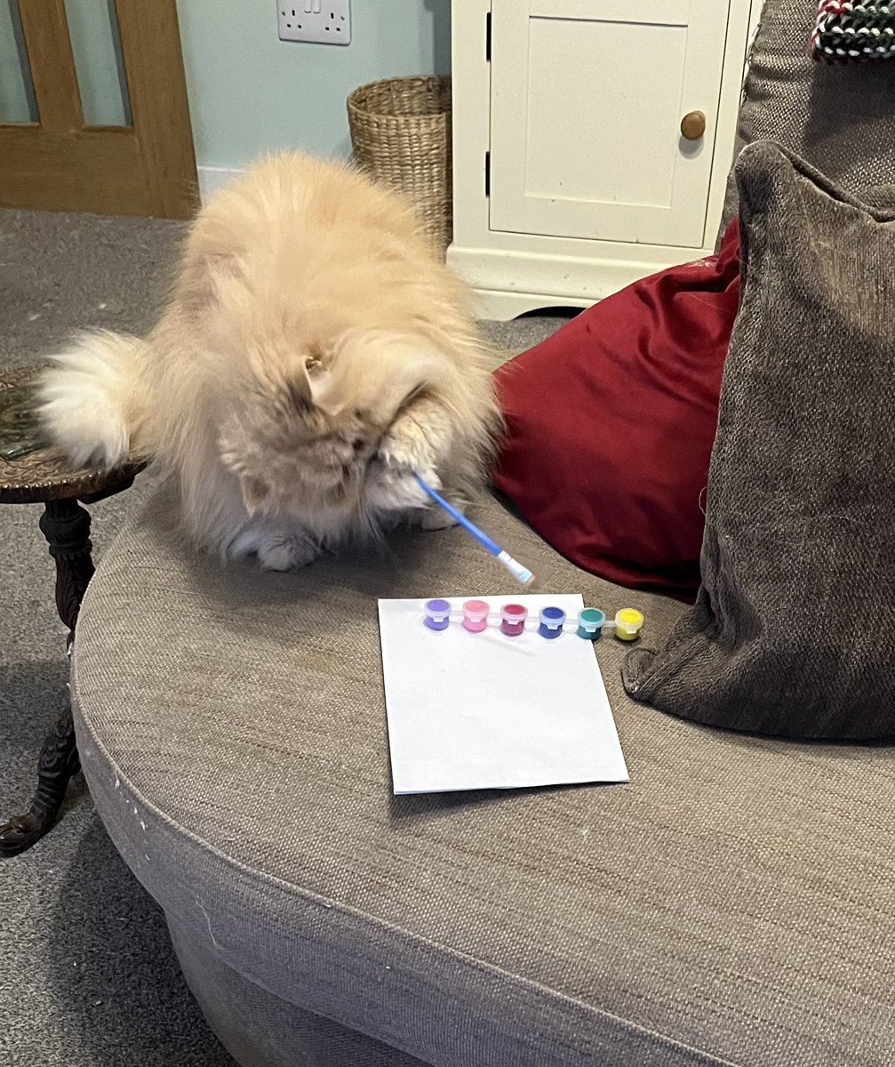 Aftermewn!  Learning to paint.  Anyone want their portrait done?#hedgewatch #ZSHQ #artist #CatsAreFamily #painting 😻😻