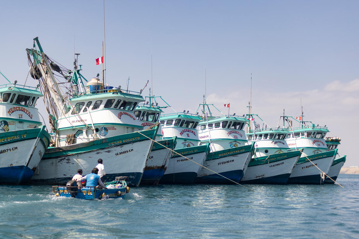 #Corruption threatens #fisheries #conservation by enabling illegal & unsustainable fishing practices. Read this blog to learn insights on #anticorruption efforts in the Americas undertaken by @World_Wildlife offices, the @TNRCproject, & @BaselInstitute. worldwildlife.org/pages/tnrc-blo…