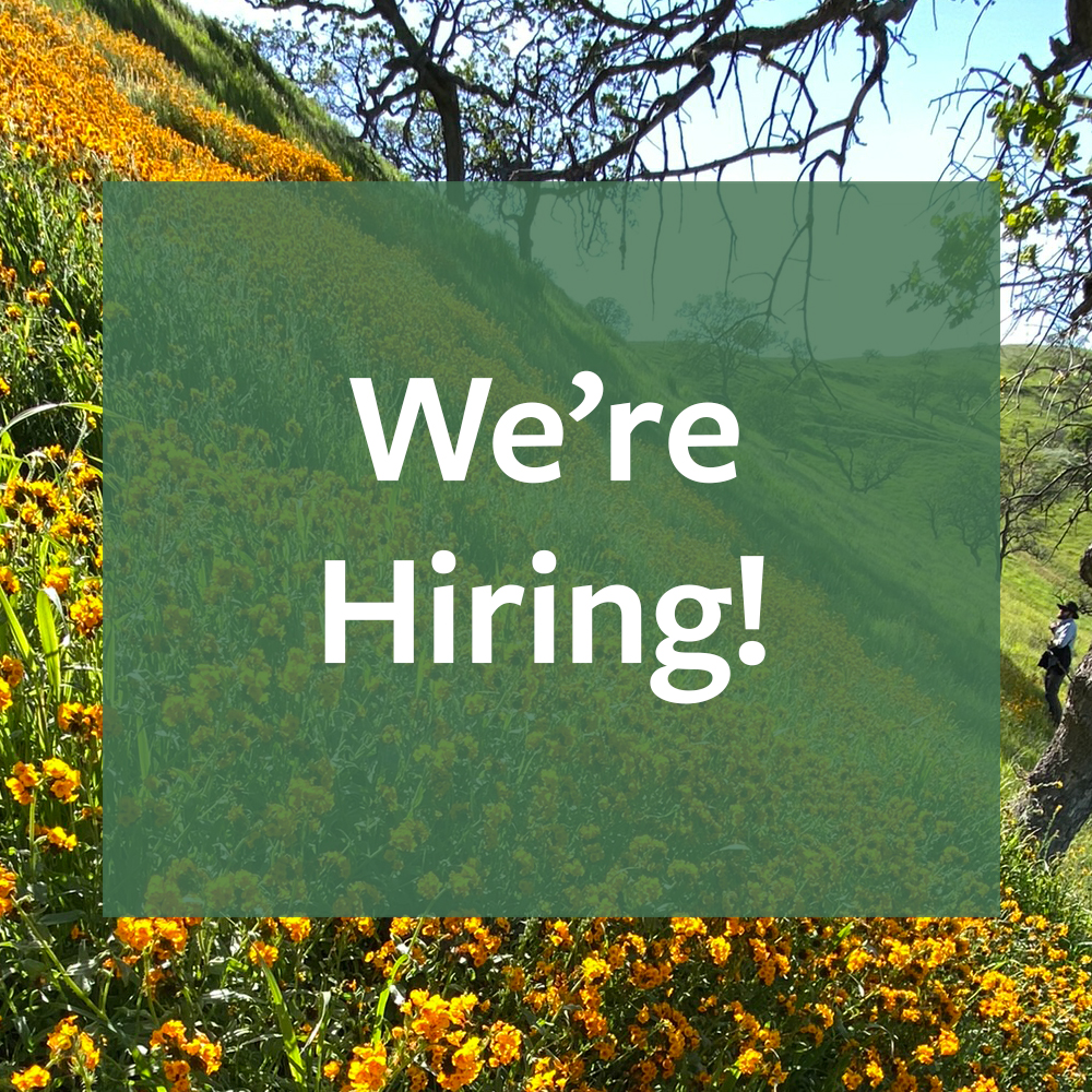 We're Hiring! Curator & Conservation Officer, F/T. Build upon the curatorial & conservation programs developed over the history of the garden. Oversee all documentation (plants, library, archives), research use of the collections & conservation programs. tinyurl.com/2dupyy3z
