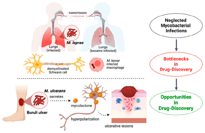 In a thought-provoking review by Mousumi Shyam, Sumit Kumar, and Vinayak Singh, read about unlocking opportunities for Mycobacterium leprae and Mycobacterium ulcerans. #ACSInfectiousDiseases @Dr_VinayakSingh @UCTIDM @H3D_UCT go.acs.org/8a5