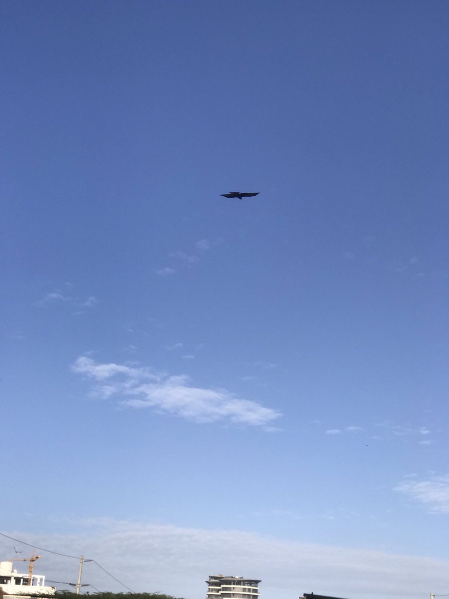 Lepariyo's tweet photo. @Int_Machines @NASA @NASAMoon @UN @KamalaHarris @Space_Station @Celestron @NASAEarth SHAPING The Future: #DiscoverWithLepariyo THURSDAY, 22 February 2024 #Kenya! Today, as the world braces to witness how @Int_Machines’s #IM-1 spacecraft will land on lunar South Pole, below is a quick-RECAP of the #Moon in the eastern skies on 22 January 2024.

Credit: @Lepariyo https://t.co/Muo0ZUdOY1