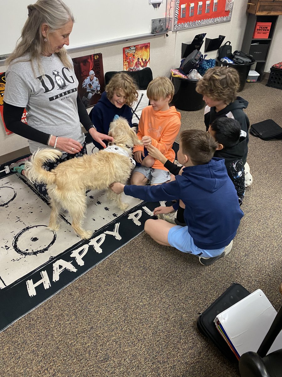 Team Dryden had a special visitor today in class - Keeler the Healer🐾 We love therapy dogs and lots of smiles today! @RobertCS118 #rcs118life #d118life #theymakemesmile #puppycuddles