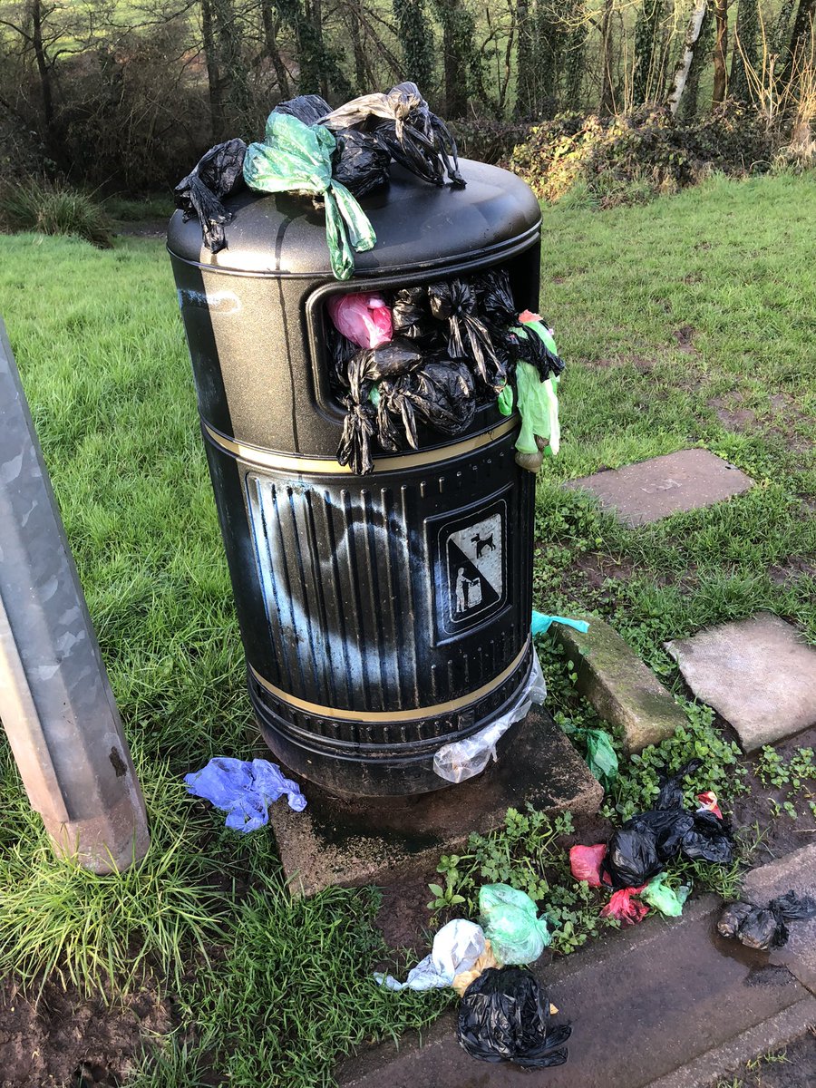 Alison Martin tweet media