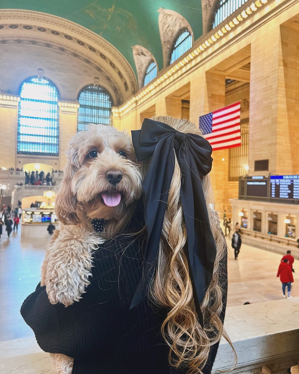 Big City, Little Paws 🍎 🐾 📸 : @iqra_ghanibull @the.cockapoo.milo #dogsofGCT #nycpets #petsoftheday #grandcentral #petlovers