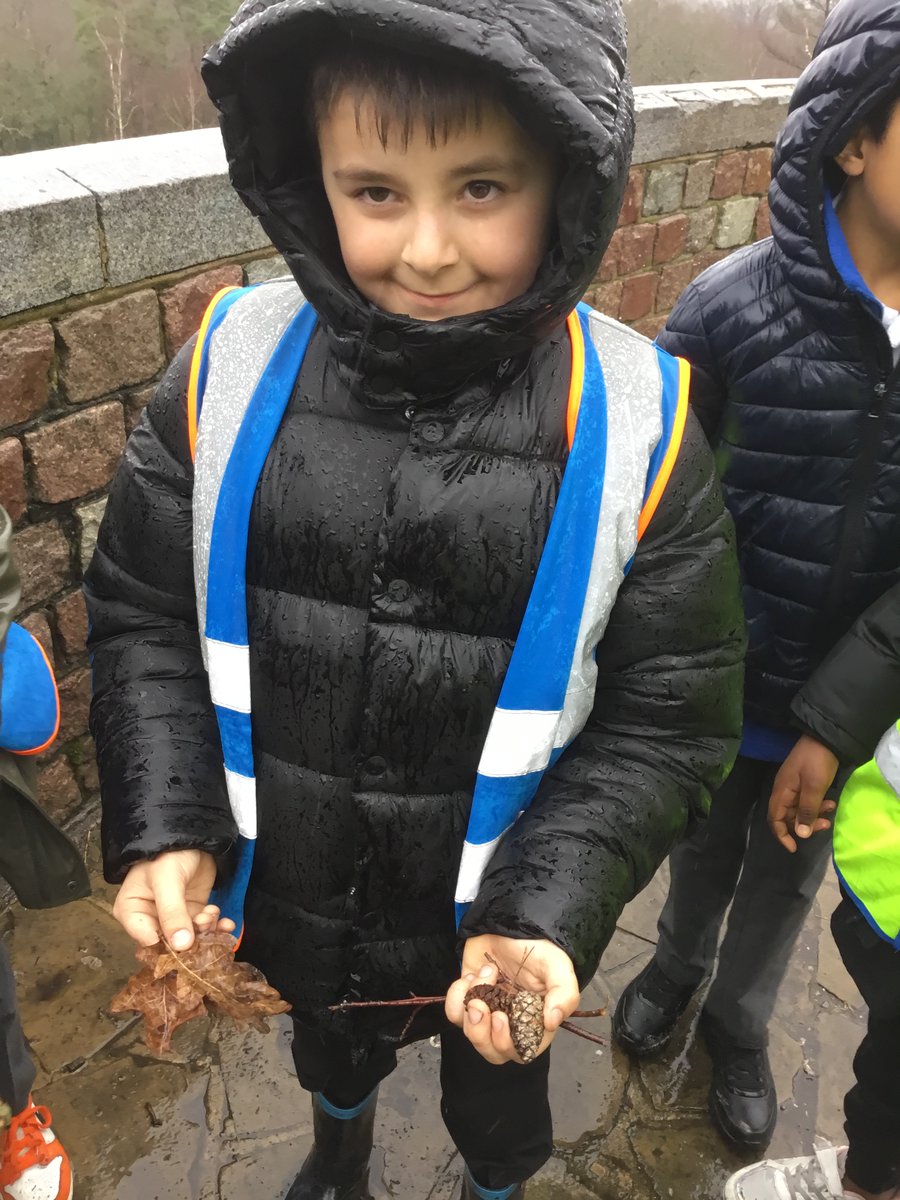 3Lime_woodside tweet media