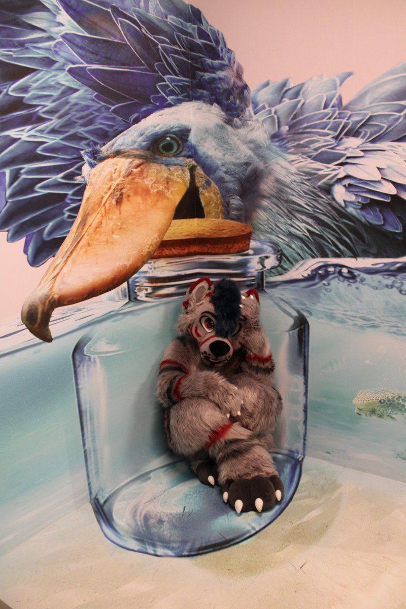 VictorianWolfo's tweet photo. Day 69 in the jar.
I dont think anyone expects this when you are stuck in a jar https://t.co/se2wlWKSvx