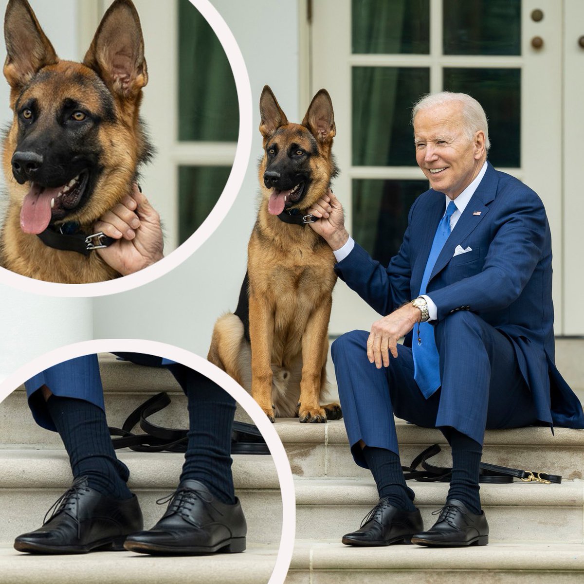 The President and “Commander” Biden taking a breather. On the C in C’s wrist is his trusty Seiko quartz chrono ref. 7T32-6M90. Not a pick you see everyday 

#presidentbiden #watches #seiko #seiko7t32 #quartzwatches #chronograph #joebiden #commanderbiden #doggos #doggies