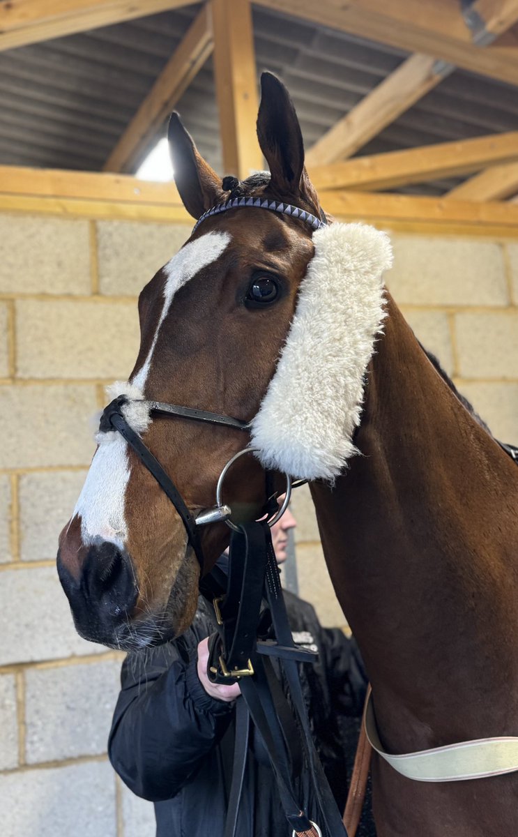 Owners Group tweet media