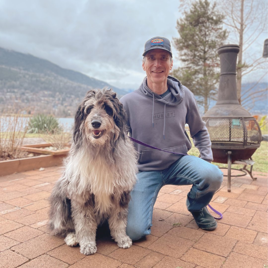LiveItearth's tweet photo. Today is the launch day of our Dogs' program! To celebrate the occasion, we have invited extra fluffy companions here at the office 🐾 The Q&amp;A is open, and our experts are ready to answer learners' questions. Em-bark with us for a Dogs' program! 🐶 https://t.co/ggLtwItZq6
