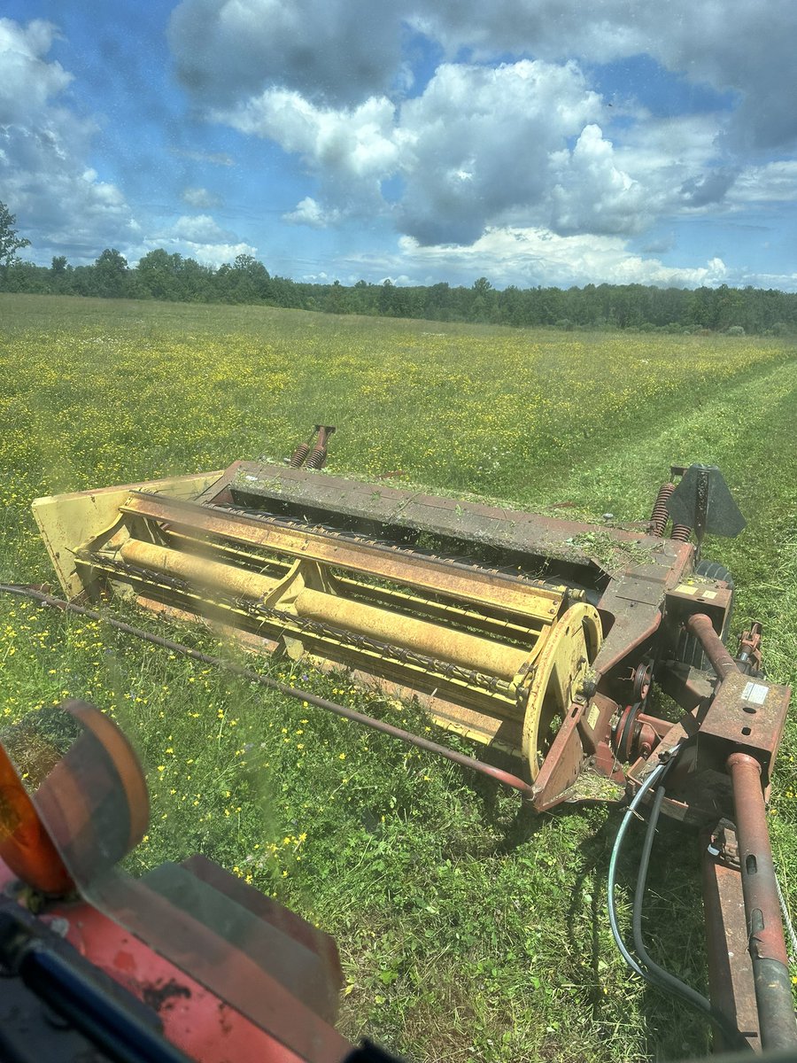 Irreverent-Farmer tweet media