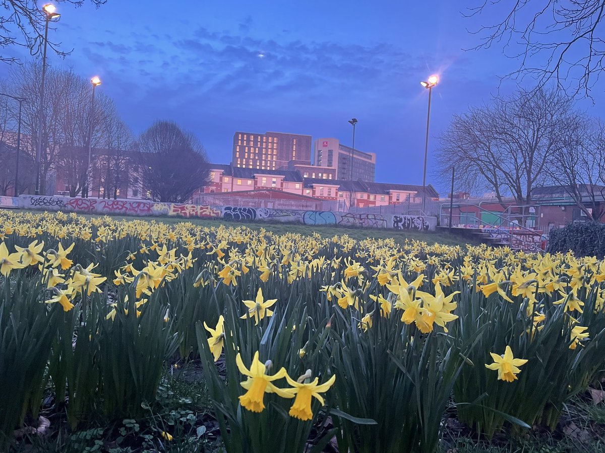 #Sheffield Springtime #Sheffieldissuper