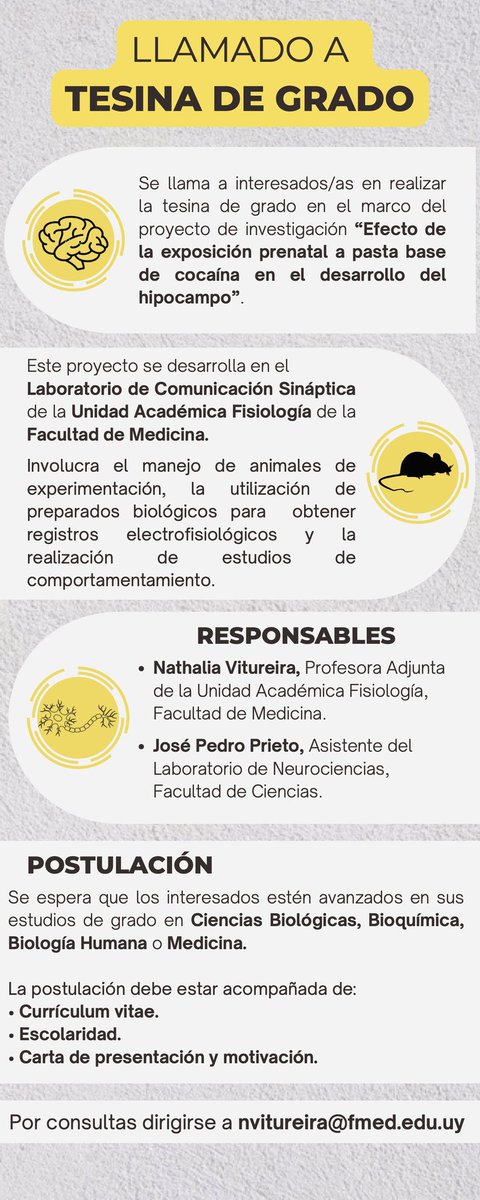 José Prieto tweet media
