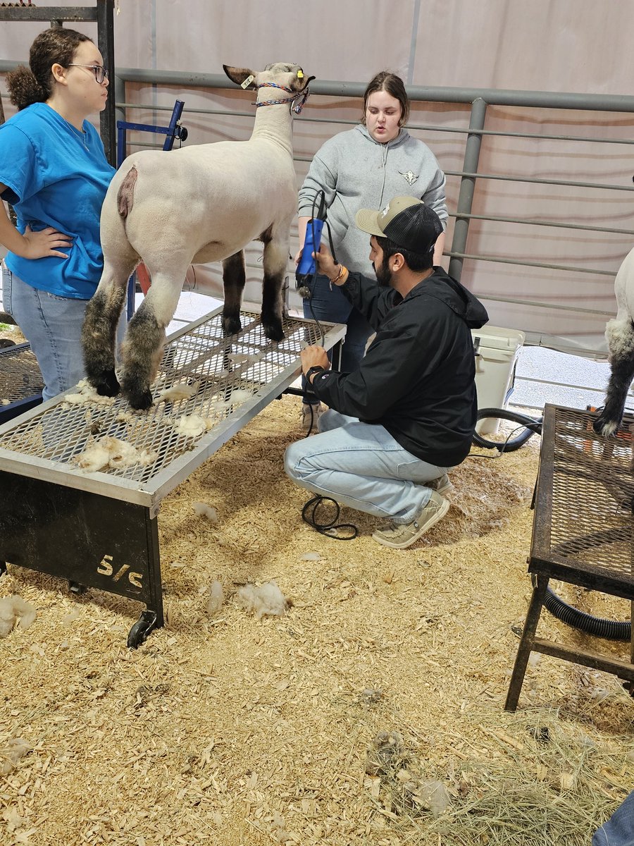 TLAMBJR43's tweet photo. I was able to visit the county youth show today and we have some very talented students in Rusk County. https://t.co/TvS9uTP599