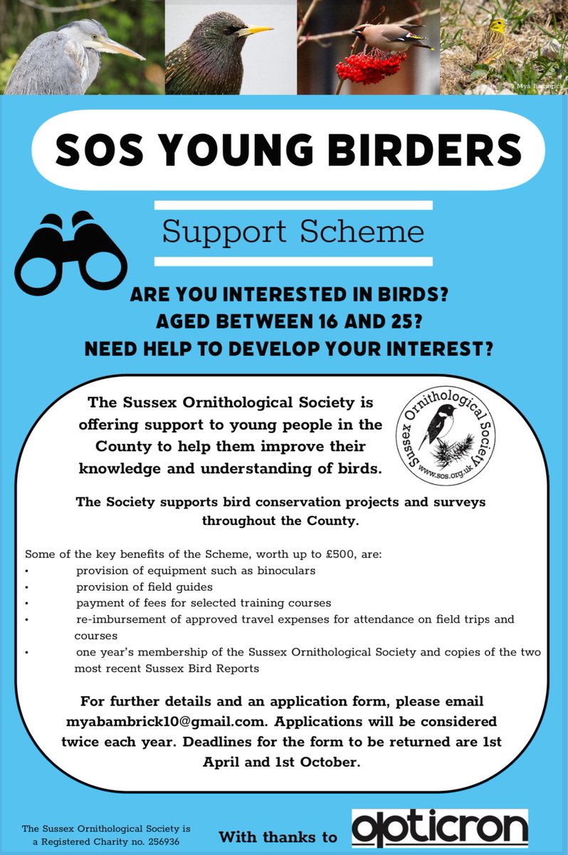 Delighted to announce the @SussexOrnitholo ‘Young Birders Support Scheme!’ 🤩🚨 Up to £500’s worth of equipment, training, and more for 16-25 year olds in Sussex. Combatting barriers to developing an interest is vital if we want to conserve Sussex’s birds for the future! 👇🏻