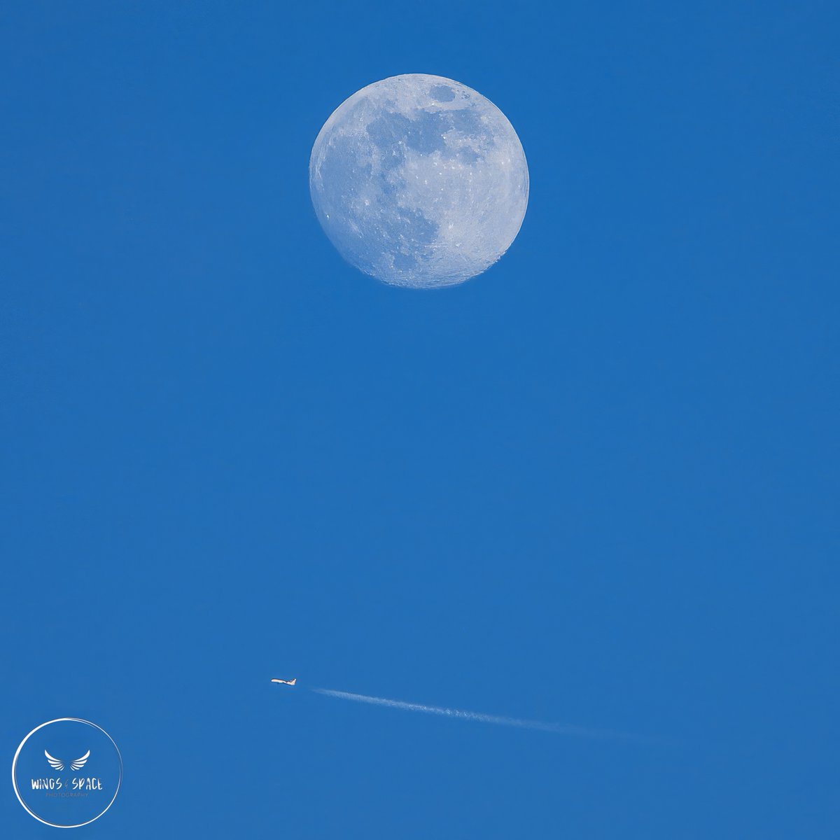 TheSnoopySnoop's tweet photo. #moonrise today
With some planes thrown in. Three of which were 35-40 miles away over Scotland

#EZY84GX easyJet (landing Belfast), #BA115 BA, #AZ610 ITA, #EK205 Emirates

#moonhour @MoonHourSocial @SkyCalPro #nikonphotography https://t.co/A5RXdxblci