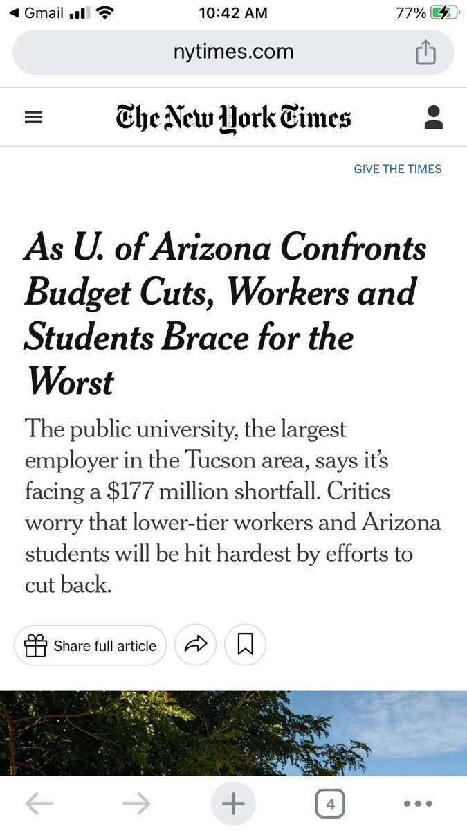 lydia paar tweet media