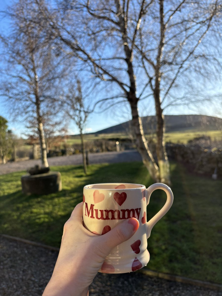 MrsHDavidson's tweet photo. Spring feels like it’s almost here! Loving these lighter evenings. 🌞 https://t.co/e5pZMi4iip