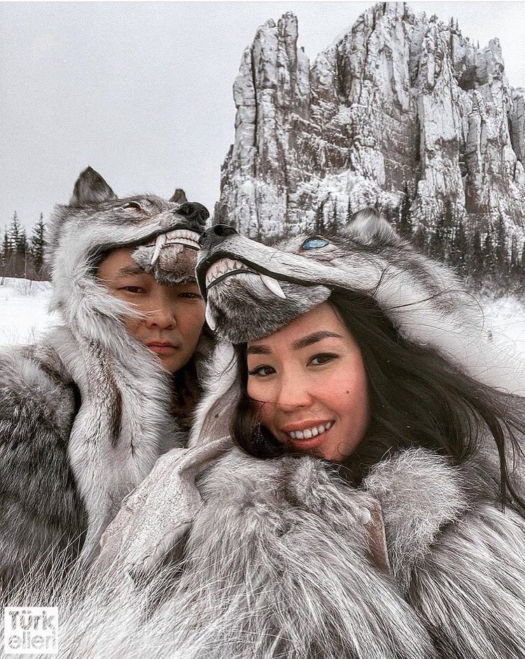 Türk Elleri tweet media