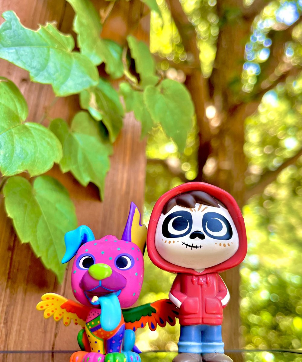 hellofunko's tweet image. Let’s go to the park!!

#funkophotoadaychallenge
#february2024
@dj3cb @FunkoLeeM @OriginalFunko