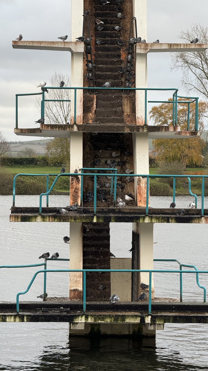 Rob Heath tweet media