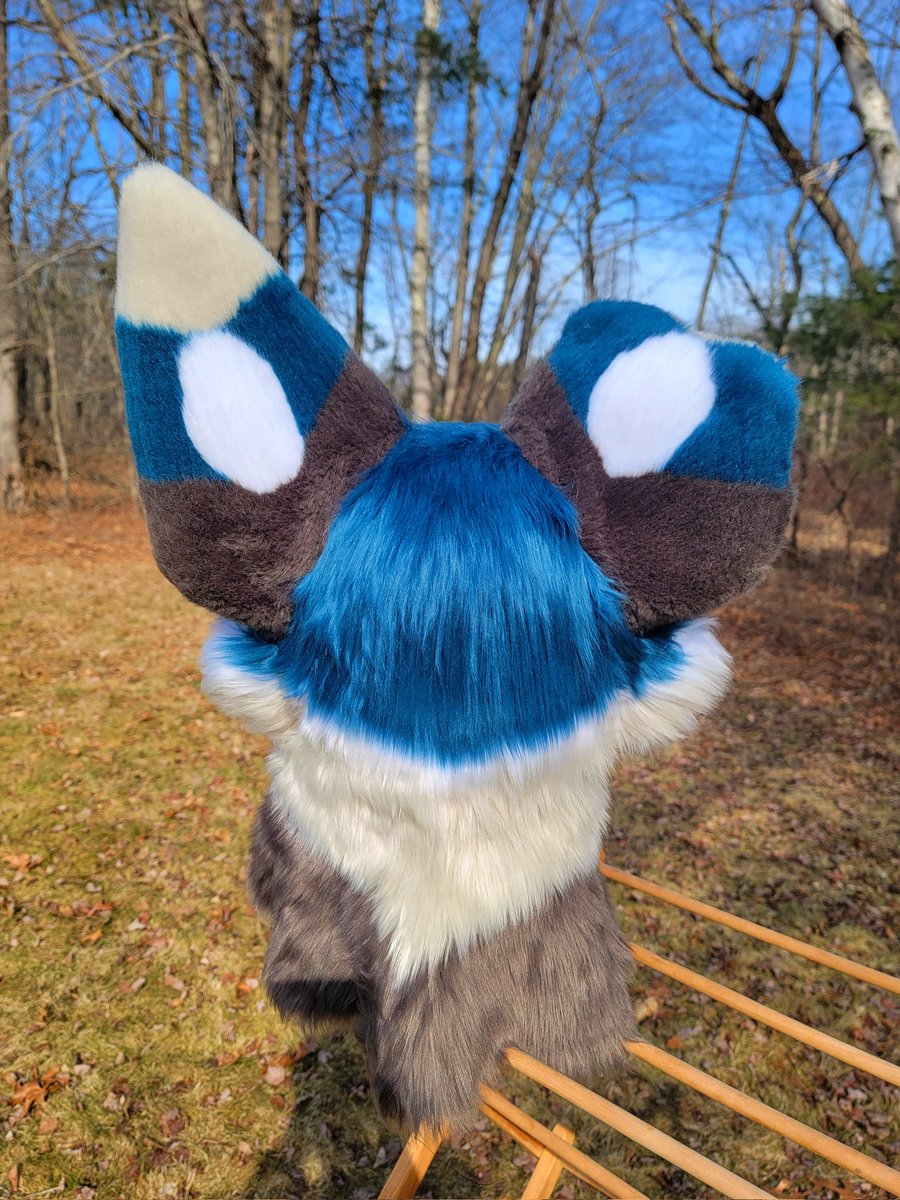 Yet another eyeless head done! (I can't wait for this eye shipment to come in xD) This guy is another premade that will be available once my eyes come in!

~~~~~~~
[Tags plz ignore]
#fursuitmaking  #fursuitcommissionsopen  #fursuits #furrycommission #furry #fullsuit #fursuit