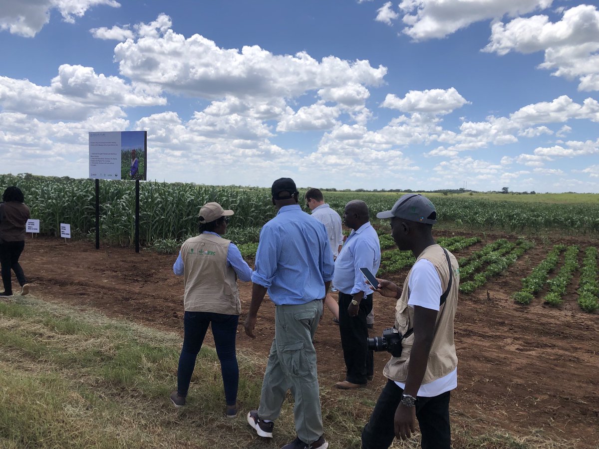 HambuloN's tweet photo. Southern Africa is hit hard by severe mid-season droughts due to El-Nino.
#AID & partners are responding by scaling climate-resilient technologies developed by past & ongoing projects like #SIFAZ #AfricaRISING. cc @BMhlanga4
@BusyBeeChris @Sieg_SAS https://t.co/36S9lVeXex