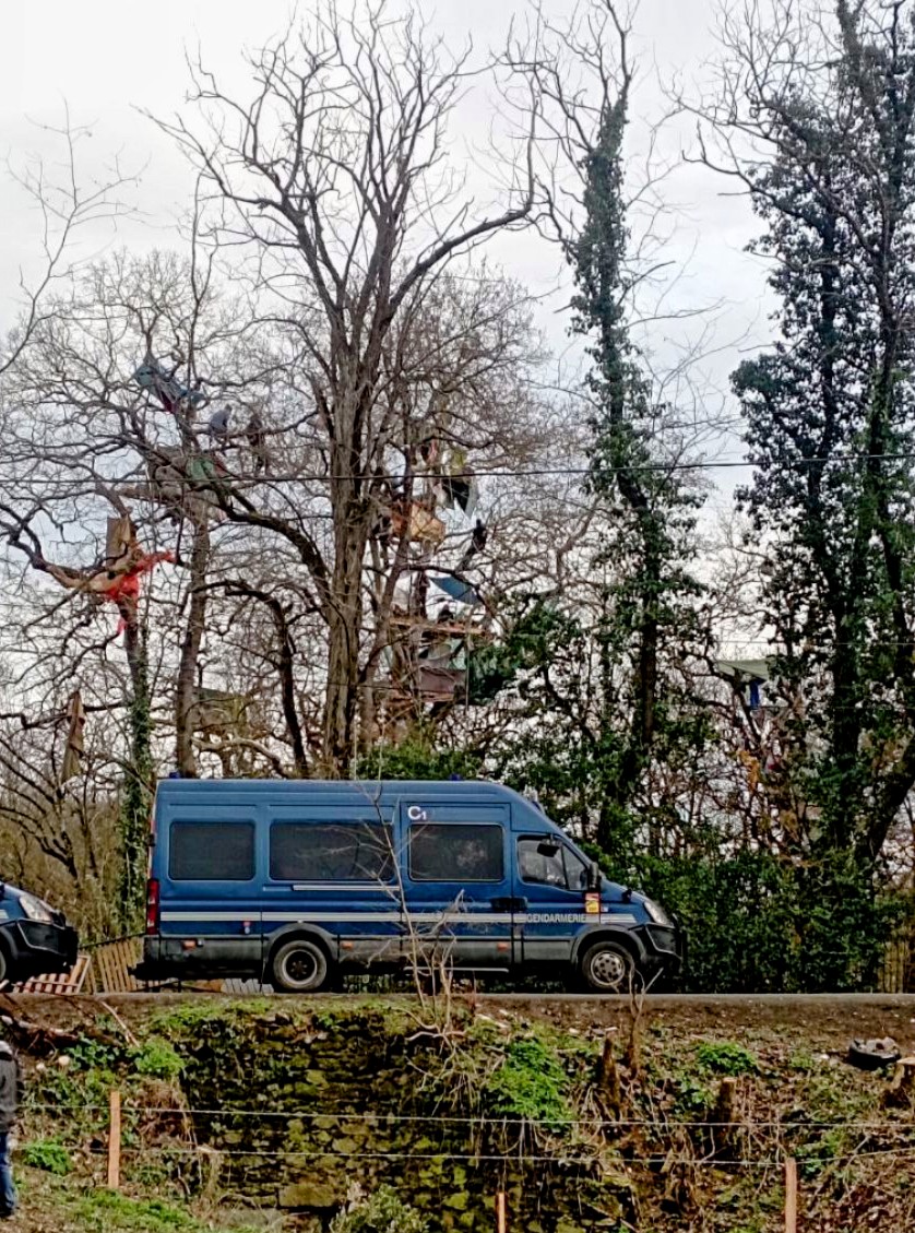 Anne Stambach-Terrenoir tweet media