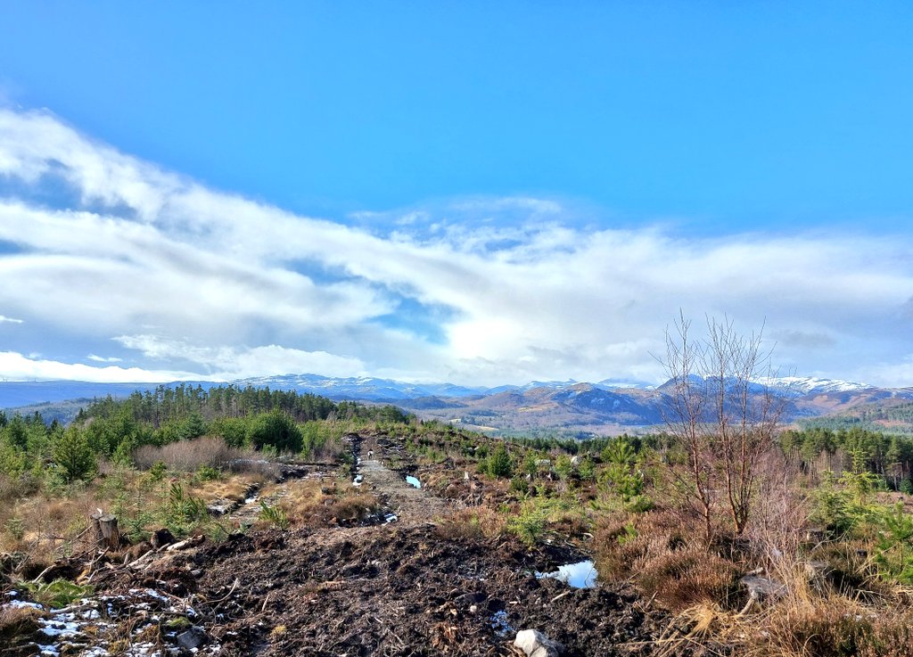 Suska_Szy's tweet photo. A lovely afternoon to learn about tree planting in #Contin! My boots need a good clean now 😄 #WoodlandCarbonCode https://t.co/RhQOXtrPG9