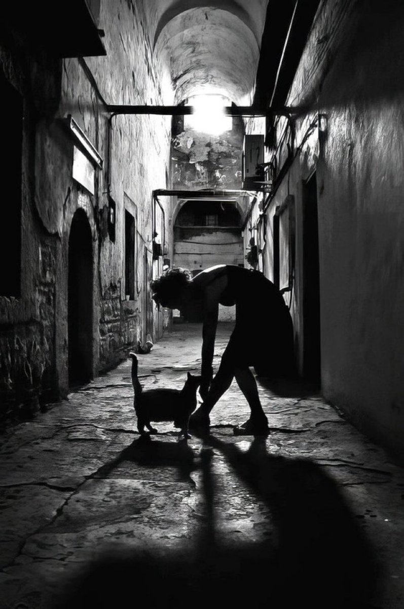 ┈•🌺💞🍒🌺💞•┈
Follow all who Retweets
#1DDrive 

<a href="/HARRYS1DEMPIRE/">TAHNEE 👑🇲🇽🇺🇸</a>
<a href="/Luisa1E/">Luisa Elena 🌹Luisa🌷</a>
<a href="/lumpie125/">lumpie125</a>
<a href="/jlferguson50/">Joe ☞#eReferenceDesk</a>
<a href="/DianeElQueen/">🌹Diane🌹</a>
<a href="/Tina1Queen/">💋 Tina 💋</a>
<a href="/Seko_MD/">seko.m.m🐐</a>
<a href="/BrettMGWV/">brett</a>
<a href="/blsnjaja/">OKO-JAJA</a>
<a href="/Aluddin19/">Aluddin19</a>
<a href="/tnmuda/">Tn Muda</a>
<a href="/Leonina_0108/">Dárcida Soto</a>
<a href="/Lucaaas2525/">༆𝑳𝑼𝑪𝑨࿐ #𝐿𝑜𝑣𝑒&𝑃𝑒𝑎𝑐𝑒 𓅃</a>
<a href="/Tanzila420/">Tanzila 130k 😜</a>
<a href="/Maiko_2111/">🥀᭄᭄ℳℳДƦîƝ 🥀᭄᭄</a>
<a href="/kvvkvvvk/">𝒟𝒞 ㋛* “ • .🫧</a>
<a href="/majd9757/">M</a>
<a href="/SiscoMGWV/">🔶️Sisco #1DDrive 110k🔶️</a>
<a href="/SevenGodess/">𝟟🅖🅞🅓🅓🅔🅢🅢 👠👠</a>