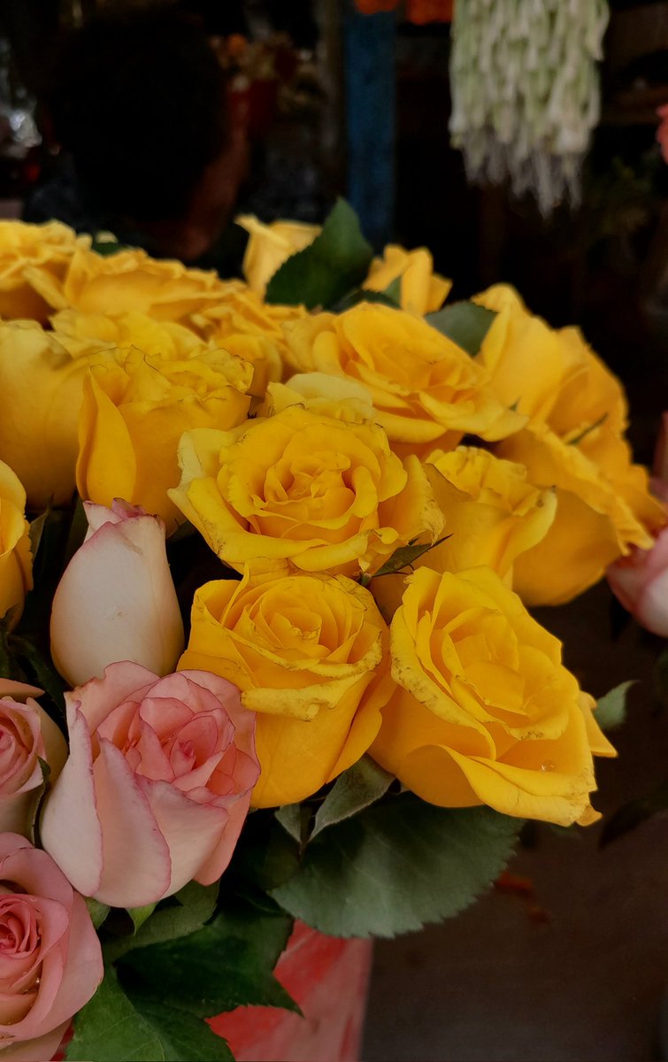 SubahChowdhury's tweet image. 