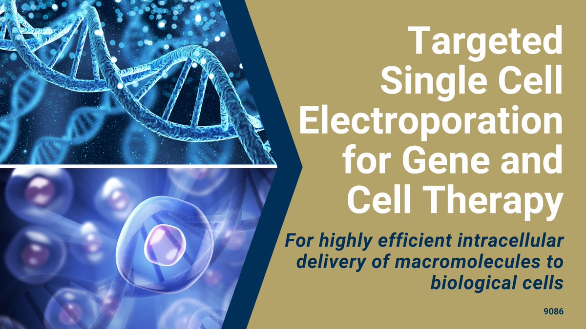 GaTechOTL's tweet image. #AvailableForLicensing: Perform targeted and highly efficient #IntracellularDelivery of #macromolecules to biological cells. Integrates single-cell measurements with real-time feedback control without cell-sorting. 
#genetherapy #celltherapy 
@CoulterBME 
ow.ly/RjQt50PMe4l