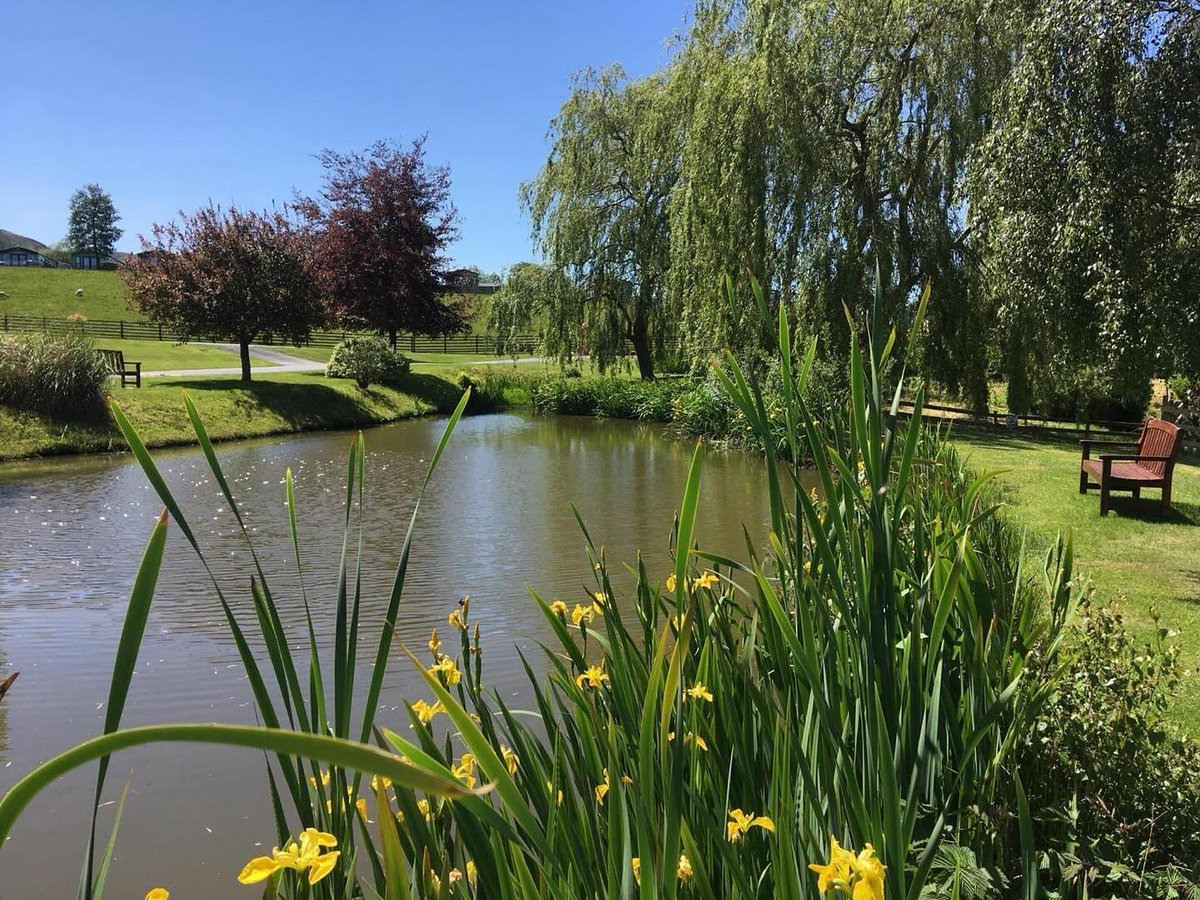 Spring is just around the corner and many of our holiday home parks are now open, or are gearing up for re-opening very soon. Find your own home away from home. #visitmidwales #realmidwales #visitwales #holidayhome 📷@gellidywyll_holiday_park 🔗 rb.gy/mr3l39