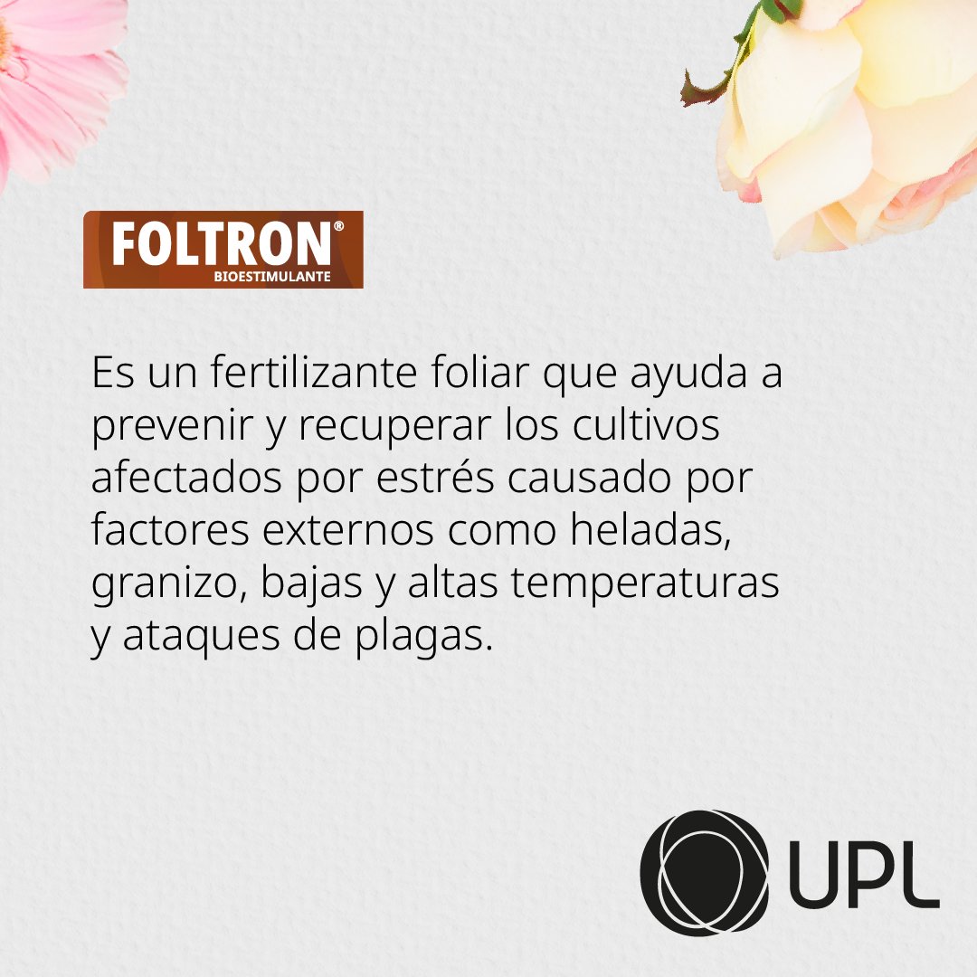 LatamUpl's tweet photo. Alcanza nuevas alturas en la calidad de tus flores con nuestro kit especializado:

✅Poliquel Calcio
✅Foltron
✅Fitobolic

🌺Visita nuestro sitio para más información: https://t.co/J3y6dy30IB

#UPLLATAM #CultivosSostenibles #Flores #Ornamentales https://t.co/AJH2NEFj55