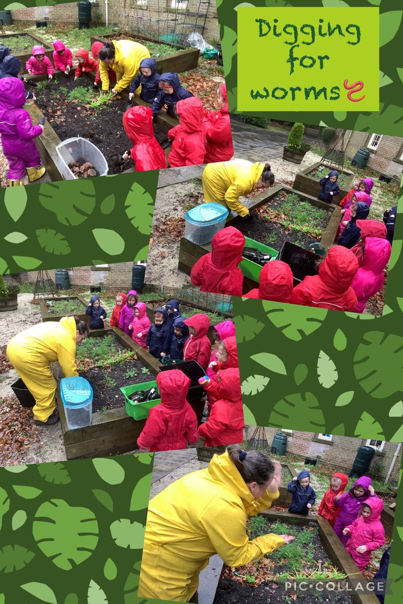 Reception and Kindergarten loved digging for worms in the Junior School vegetable garden. They learnt that the pointy end is the worms head and the round end is it’s tail. @TalbotHeathSch @THSch_Kinder @THSch_PrePrep