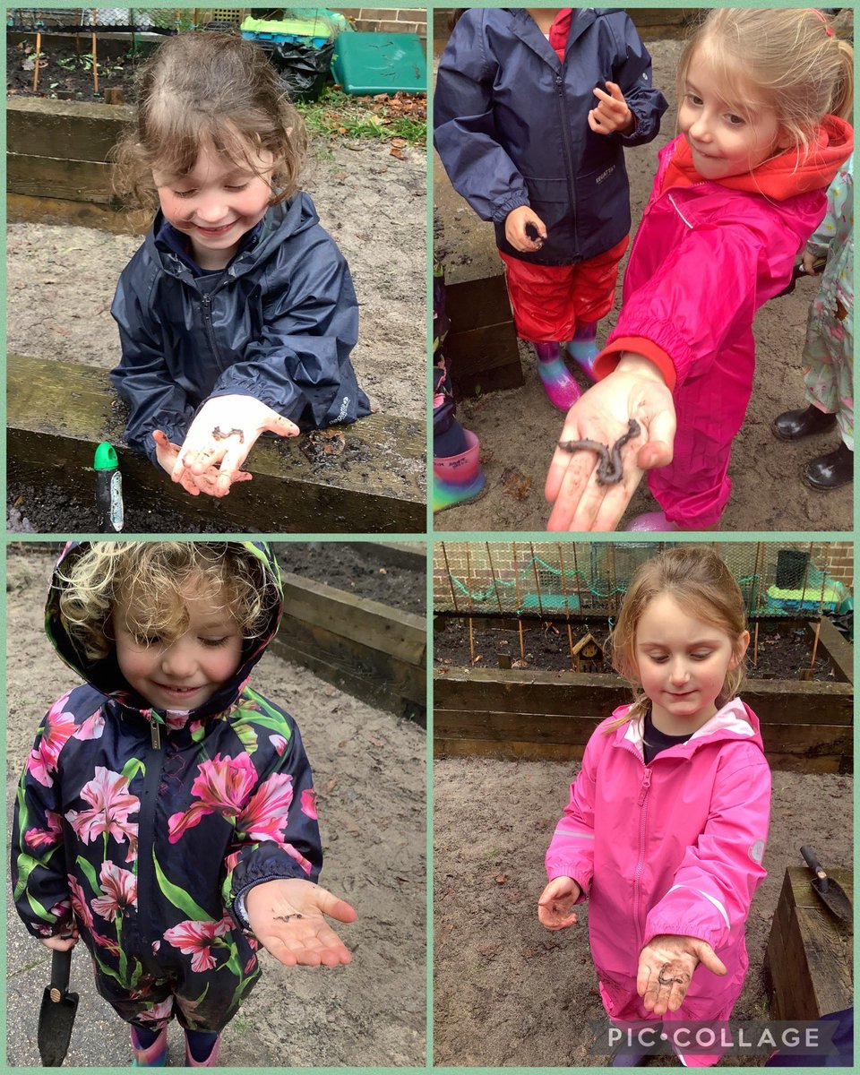 THSch_OutdoorLearning tweet media